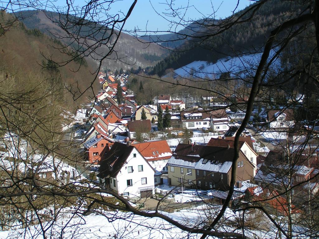 Harz Hotel Iris Sieber Exterior photo