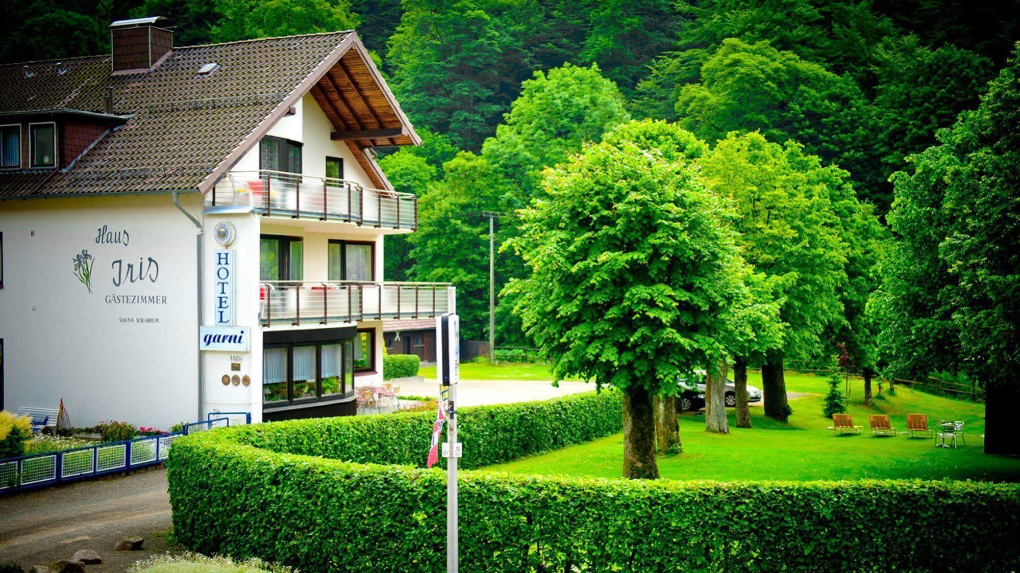 Harz Hotel Iris Sieber Exterior photo